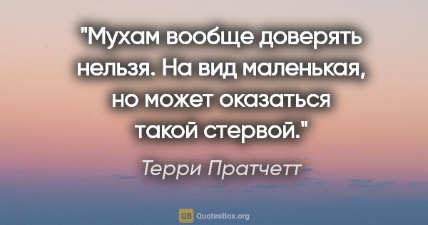 Терри Пратчетт цитата: "Мухам вообще доверять нельзя. На вид маленькая, но может..."