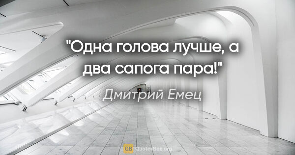 Дмитрий Емец цитата: "Одна голова лучше, а два сапога пара!"