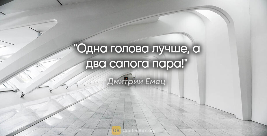 Дмитрий Емец цитата: "Одна голова лучше, а два сапога пара!"