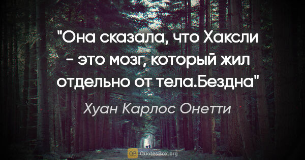 Хуан Карлос Онетти цитата: "Она сказала, что Хаксли - это мозг, который жил отдельно от..."