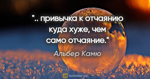 Альбер Камю цитата: ".. привычка к отчаянию куда хуже, чем само отчаяние."