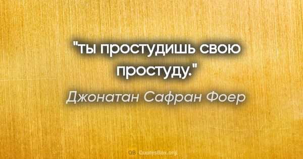 Джонатан Сафран Фоер цитата: "ты простудишь свою простуду."