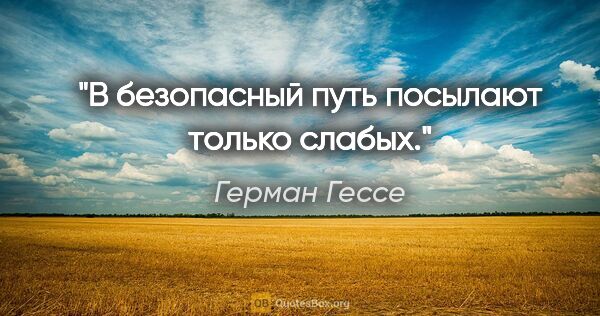 Герман Гессе цитата: "В безопасный путь посылают только слабых."