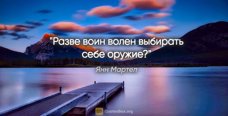 Янн Мартел цитата: "Разве воин волен выбирать себе оружие?"