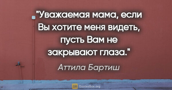 Аттила Бартиш цитата: "Уважаемая мама, если Вы хотите меня видеть, пусть Вам не..."