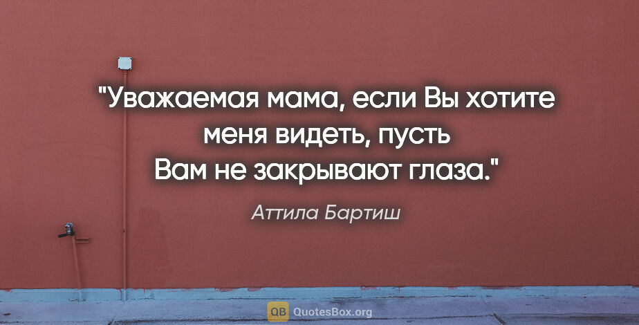 Аттила Бартиш цитата: "Уважаемая мама, если Вы хотите меня видеть, пусть Вам не..."