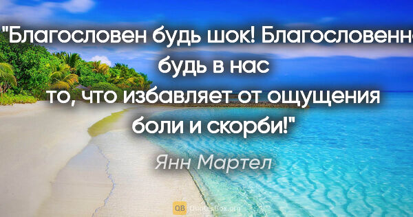 Янн Мартел цитата: "Благословен будь шок! Благословенно будь в нас то, что..."