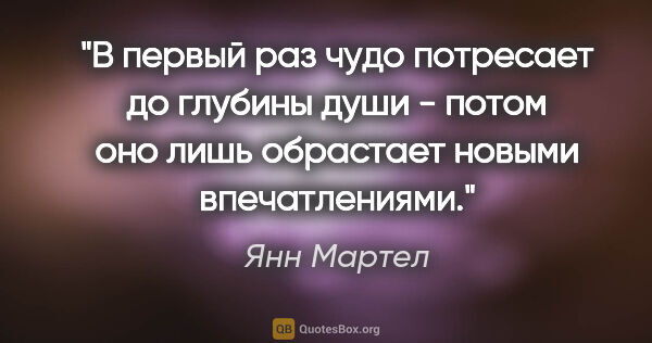 Янн Мартел цитата: "В первый раз чудо потресает до глубины души - потом оно лишь..."