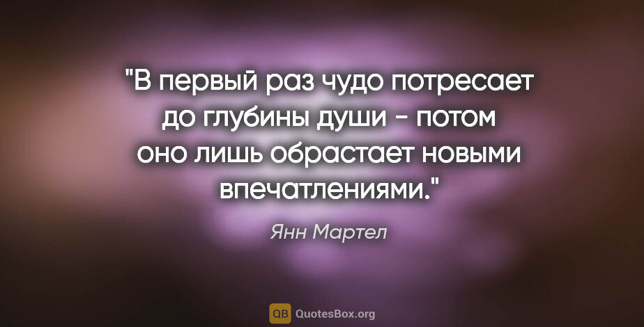 Янн Мартел цитата: "В первый раз чудо потресает до глубины души - потом оно лишь..."