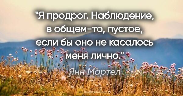 Янн Мартел цитата: "Я продрог. Наблюдение, в общем-то, пустое, если бы оно не..."