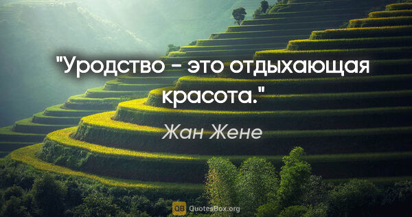 Жан Жене цитата: "Уродство - это отдыхающая красота."