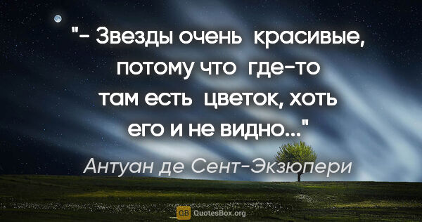 Антуан де Сент-Экзюпери цитата: "- Звезды очень  красивые, потому что  где-то там есть  цветок,..."