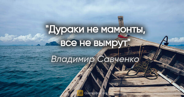 Владимир Савченко цитата: "Дураки не мамонты, все не вымрут"