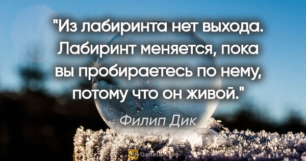 Филип Дик цитата: "Из лабиринта нет выхода. Лабиринт меняется, пока вы..."