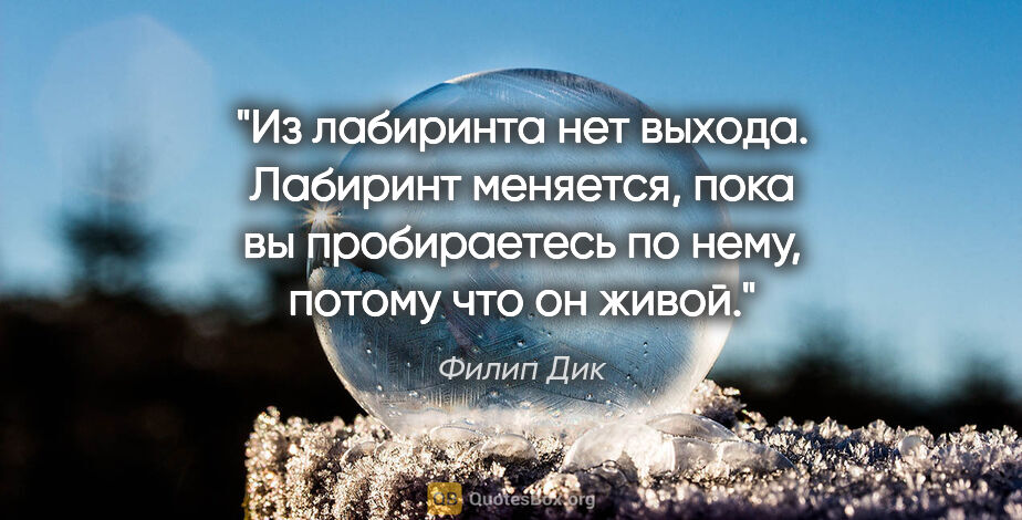 Филип Дик цитата: "Из лабиринта нет выхода. Лабиринт меняется, пока вы..."