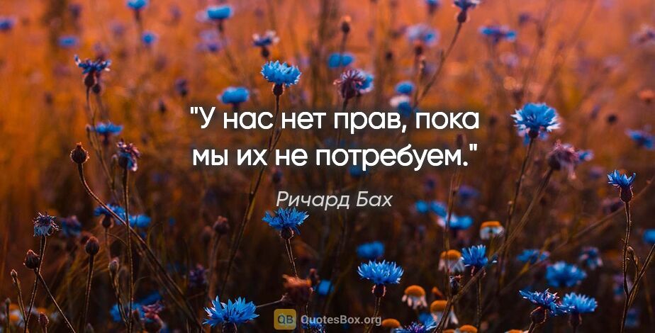 Ричард Бах цитата: "У нас нет прав, пока мы их не потребуем."