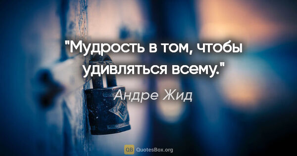 Андре Жид цитата: "Мудрость в том, чтобы удивляться всему."