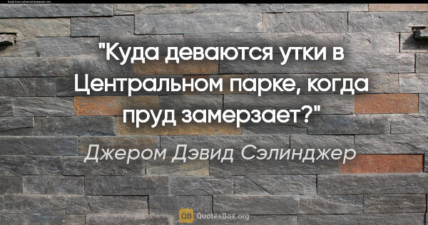 Джером Дэвид Сэлинджер цитата: "Куда деваются утки в Центральном парке, когда пруд замерзает?"