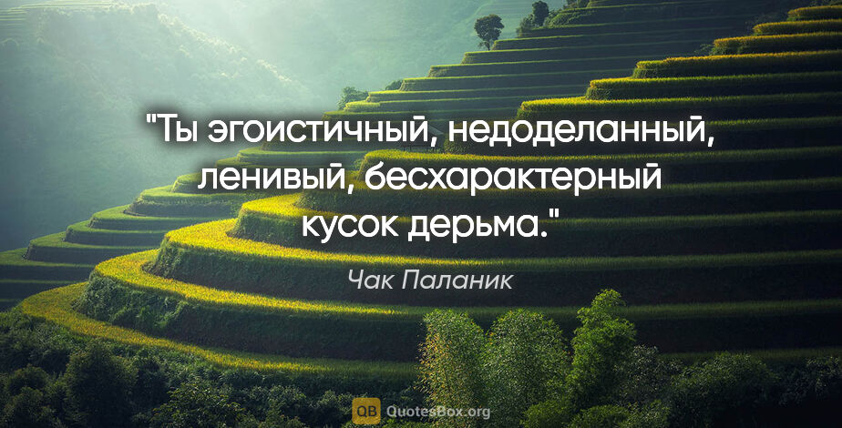 Чак Паланик цитата: "Ты эгоистичный, недоделанный, ленивый, бесхарактерный кусок..."