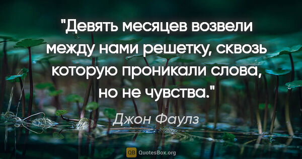 Джон Фаулз цитата: "Девять месяцев возвели между нами решетку, сквозь которую..."