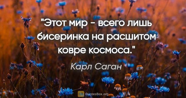 Карл Саган цитата: "Этот мир - всего лишь бисеринка на расшитом ковре космоса."