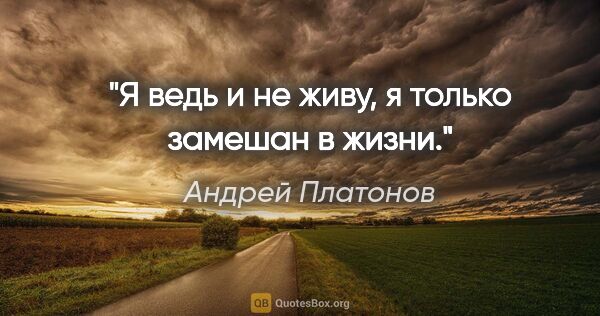 Андрей Платонов цитата: "Я ведь и не живу, я только замешан в жизни."