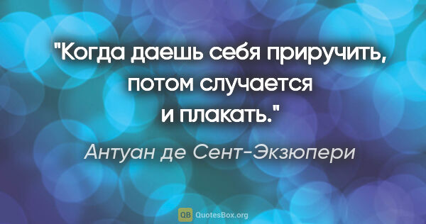 Антуан де Сент-Экзюпери цитата: "Когда даешь себя приручить, потом случается и плакать."