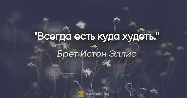 Брет Истон Эллис цитата: "Всегда есть куда худеть."