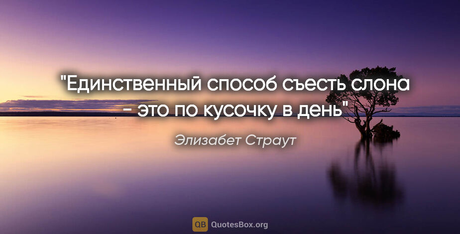 Элизабет Страут цитата: "Единственный способ съесть слона - это по кусочку в день"