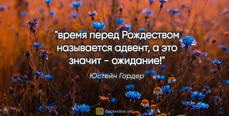 Юстейн Гордер цитата: "время перед Рождеством называется "адвент", а это значит -..."