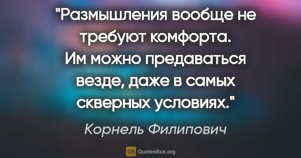 Корнель Филипович цитата: "Размышления вообще не требуют комфорта. Им можно предаваться..."