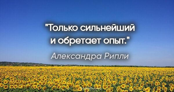 Александра Рипли цитата: "Только сильнейший и обретает опыт."