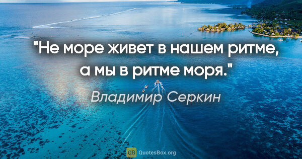 Владимир Серкин цитата: "Не море живет в нашем ритме, а мы в ритме моря."
