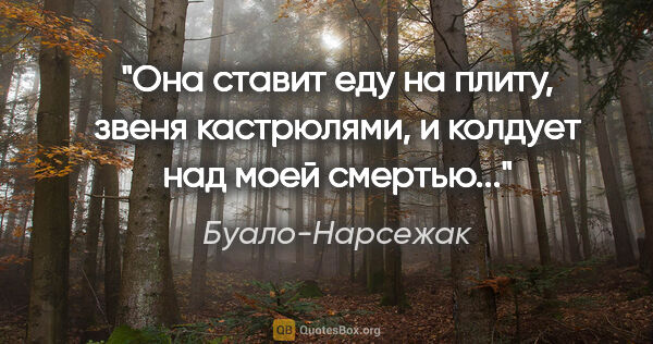 Буало-Нарсежак цитата: "Она ставит еду на плиту, звеня кастрюлями, и колдует над моей..."