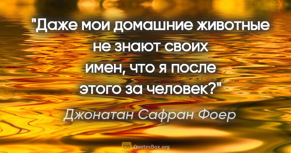 Джонатан Сафран Фоер цитата: "Даже мои домашние животные не знают своих имен, что я после..."