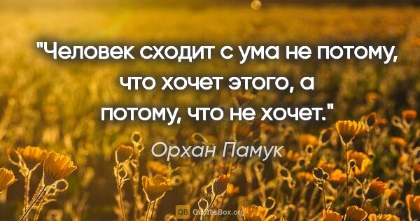 Орхан Памук цитата: "Человек сходит с ума не потому, что хочет этого, а потому, что..."