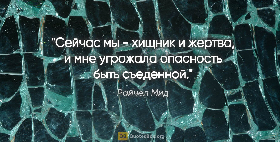 Райчел Мид цитата: "Сейчас мы - хищник и жертва, и мне угрожала опасность быть..."