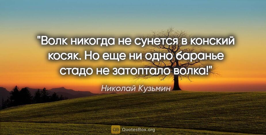 Николай Кузьмин цитата: "Волк никогда не сунется в конский косяк. Но еще ни одно..."