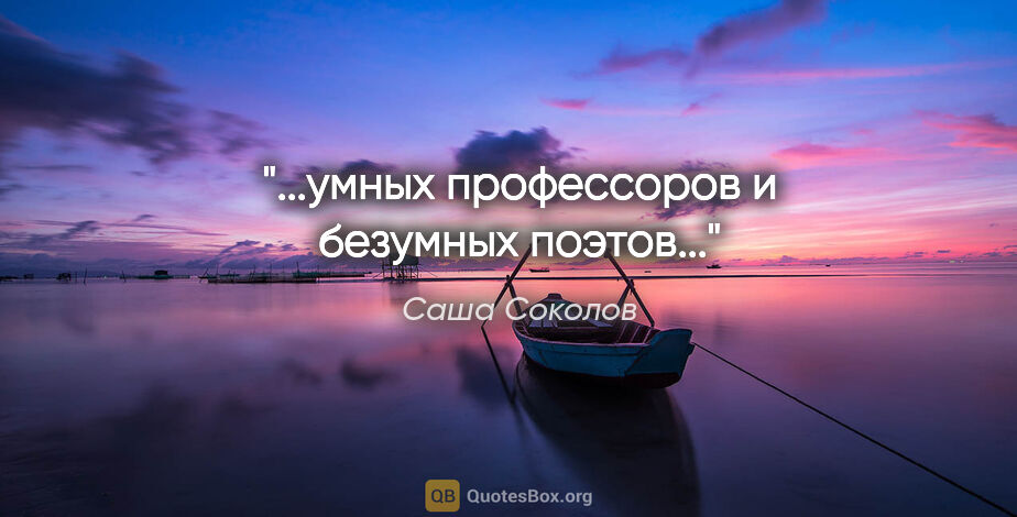 Саша Соколов цитата: "...умных профессоров и безумных поэтов..."