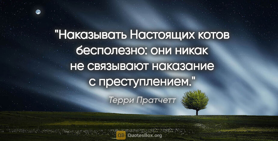 Терри Пратчетт цитата: "Наказывать Настоящих котов бесполезно: они никак не связывают..."