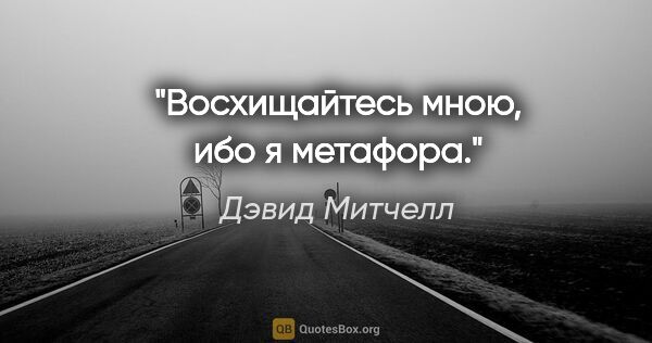 Дэвид Митчелл цитата: "«Восхищайтесь мною, ибо я метафора»."