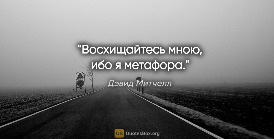 Дэвид Митчелл цитата: "«Восхищайтесь мною, ибо я метафора»."