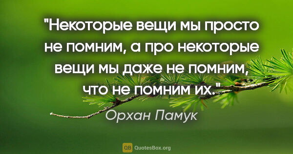 Орхан Памук цитата: "Некоторые вещи мы просто не помним, а про некоторые вещи мы..."