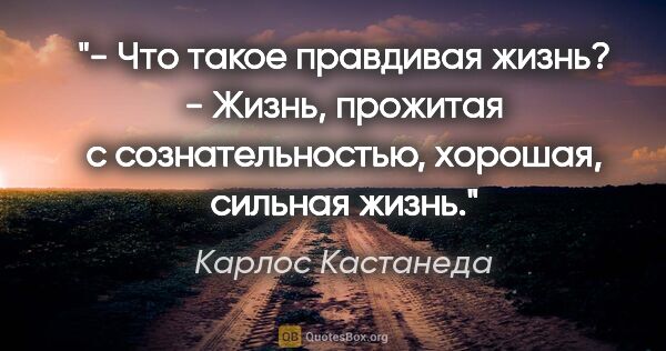 Карлос Кастанеда цитата: "- Что такое правдивая жизнь?

- Жизнь, прожитая с..."