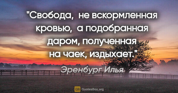 Эренбург Илья цитата: "Свобода,  не вскормленная кровью,  а подобранная даром,..."