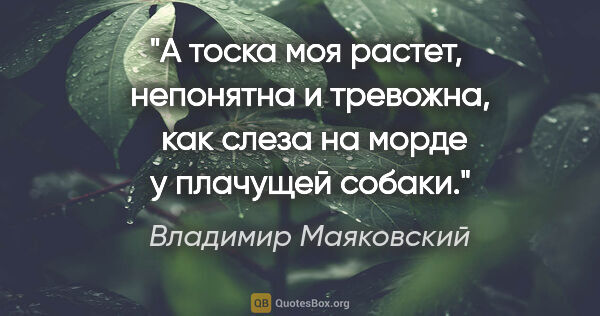 Владимир Маяковский цитата: "А тоска моя растет, 

непонятна и тревожна, 

как слеза на..."