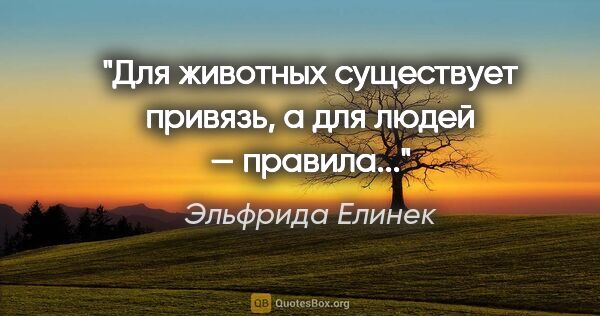 Эльфрида Елинек цитата: "Для животных существует привязь, а для людей — правила..."