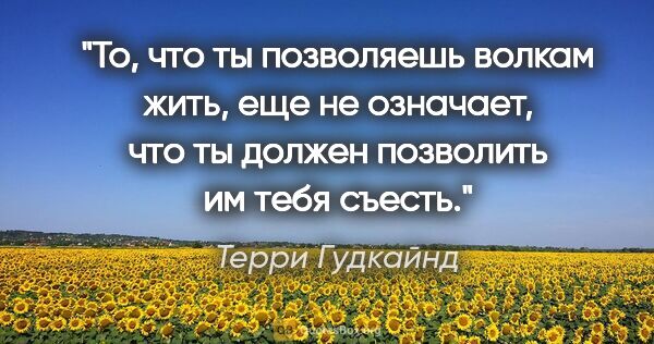 Терри Гудкайнд цитата: "То, что ты позволяешь волкам жить, еще не означает, что ты..."