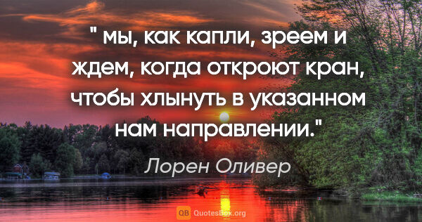 Лорен Оливер цитата: "" мы, как капли, зреем и ждем, когда откроют кран, чтобы..."