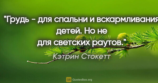 Кэтрин Стокетт цитата: "Грудь - для спальни и вскармливания детей. Но не для светских..."